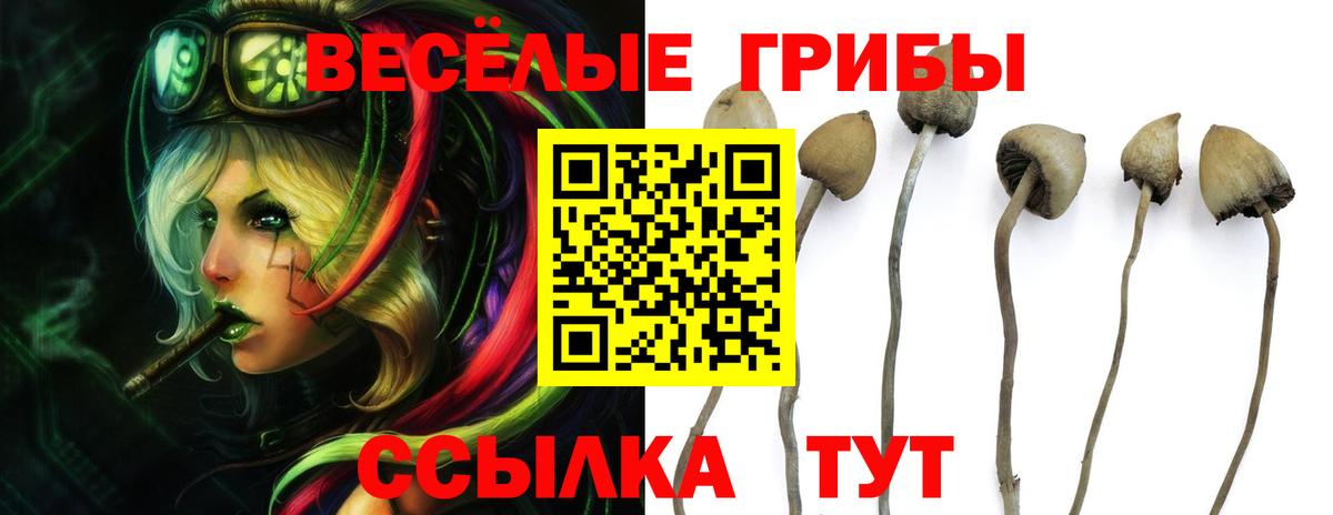 Псилоцибиновые грибы Magic Shrooms Лянтор