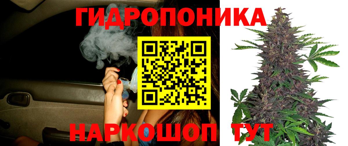 Бошки Шишки AK-47 Лянтор